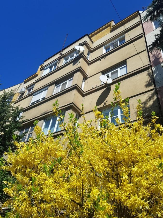 Apartament Затишні Смарт-Квартири В Історичному Центрі! Użhorod Zewnętrze zdjęcie